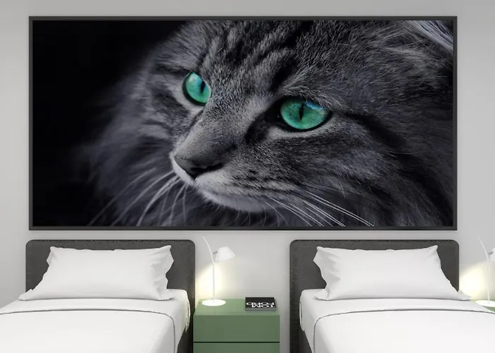 The Freddie Mercury Hotel